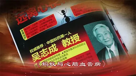 【苗三尺十三膏】黄金爆品,严格市场保护,诚招代理商!