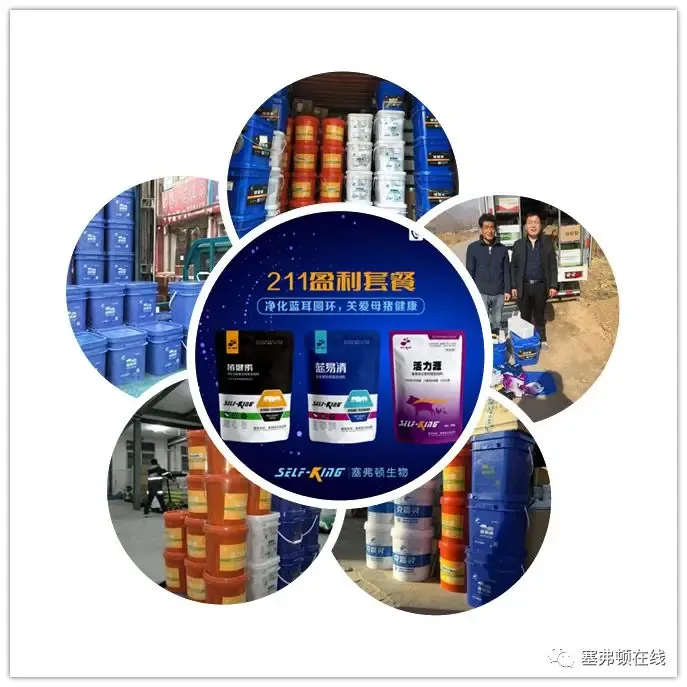 2026.03.31|| 市场平稳,多地持平!——全国最新猪价