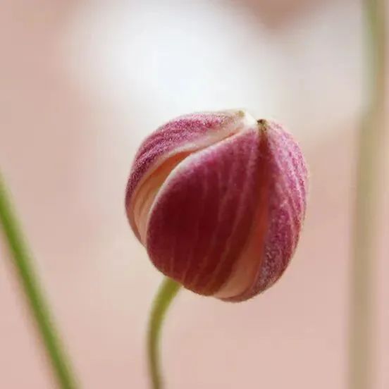 【法治新闻早读1761期】市场监管总局:严打平台经济、新能源等领域“内卷式”不正当竞争