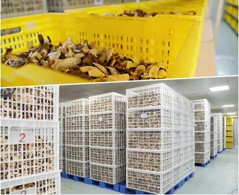 崩了,陈皮市场暴雷了!