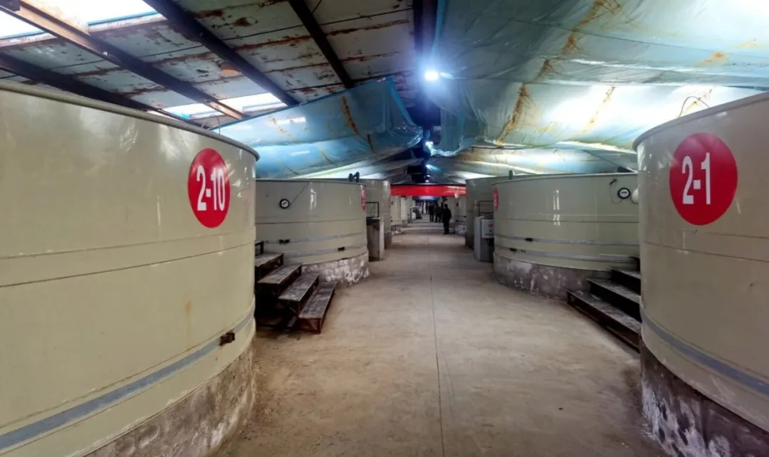 十三师红星一场南美白对虾走俏市场