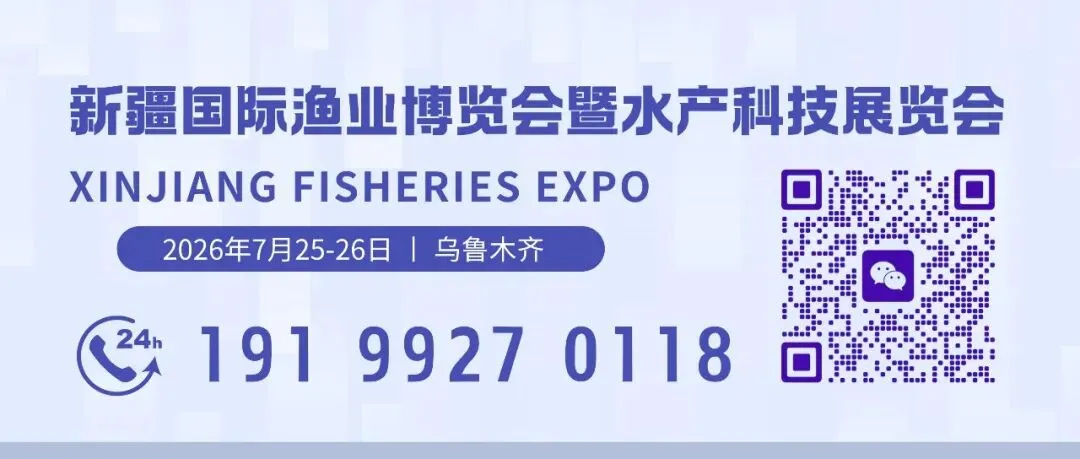 十三师红星一场南美白对虾走俏市场