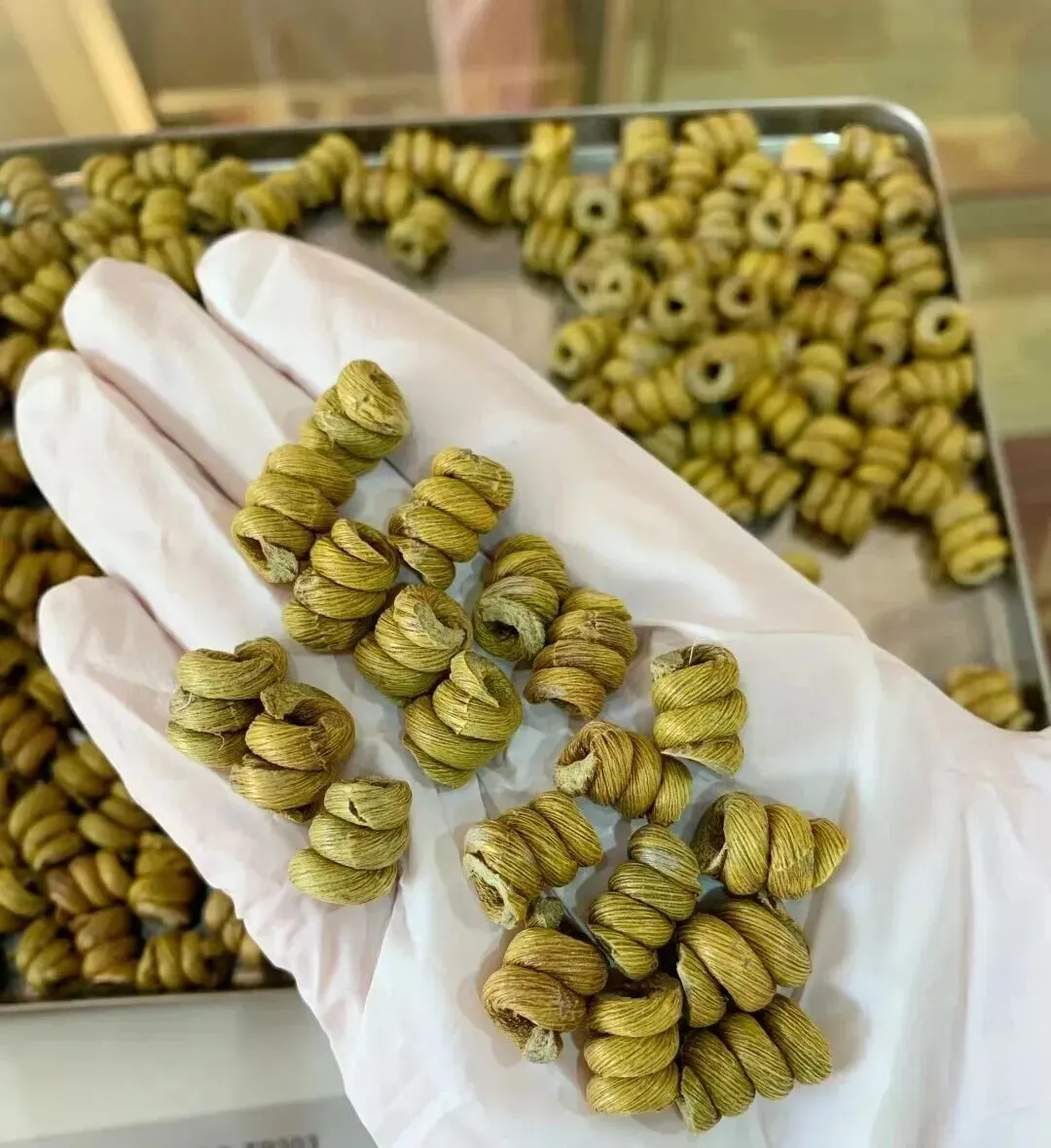 崩了!石斛市场暴雷了