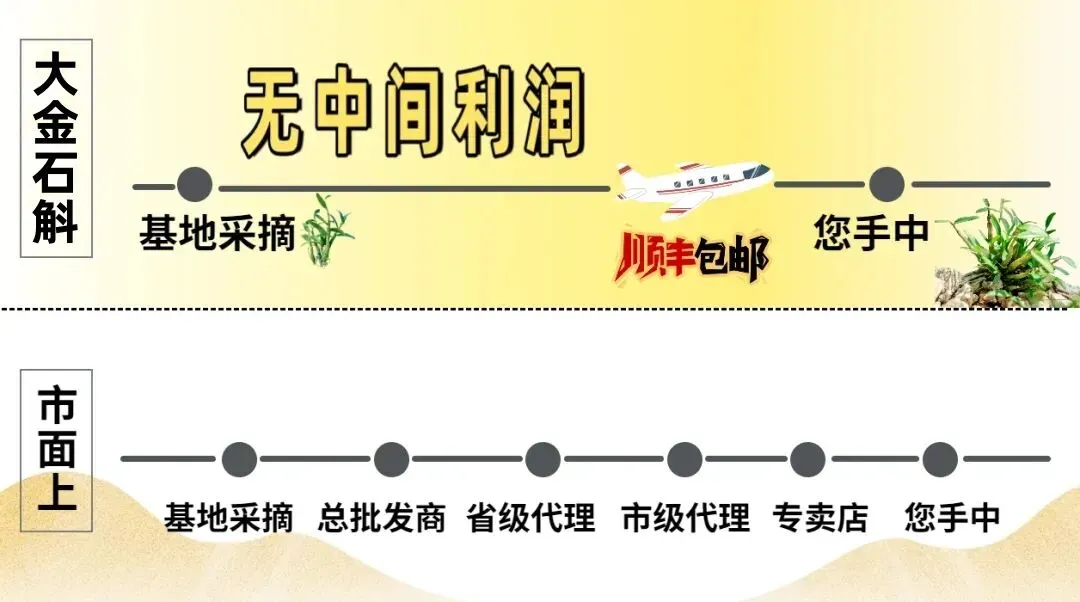 崩了!石斛市场暴雷了