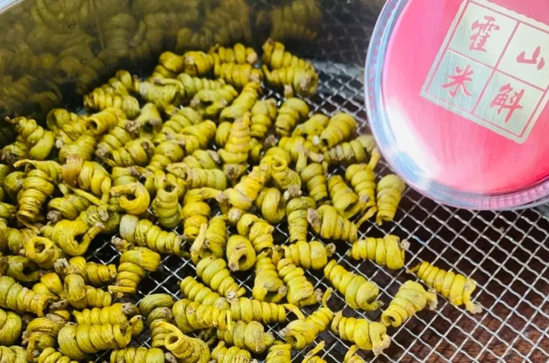 崩了!石斛市场暴雷了