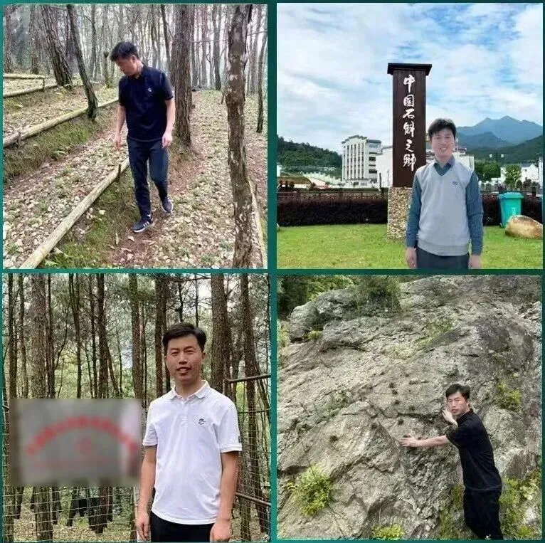 崩了!石斛市场暴雷了