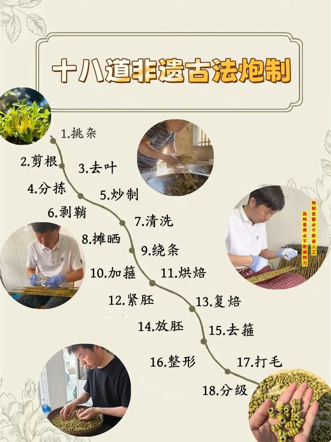 崩了!石斛市场暴雷了