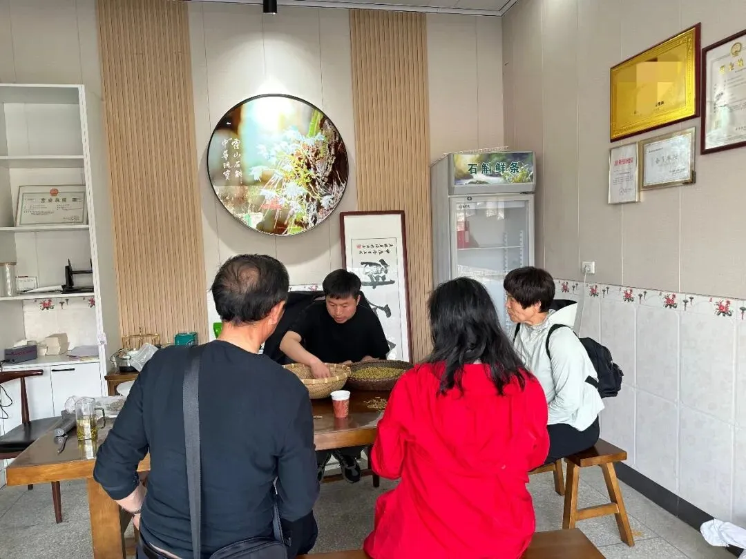 崩了!石斛市场暴雷了