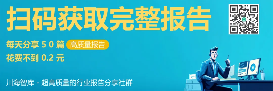 91页丨2025-2026中国市场IP商业化价值研究报告