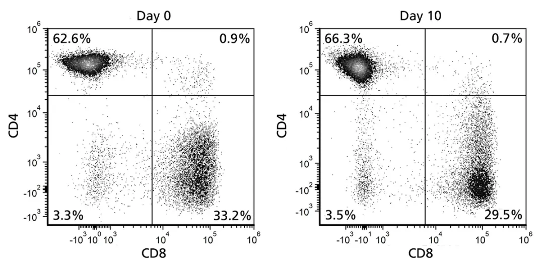 如何抓住CGT市场发展机遇?这一环节不容忽视