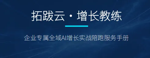 成都「拓跋云」全域网络营销获客公司,助力中小企业低成本、精准获客!