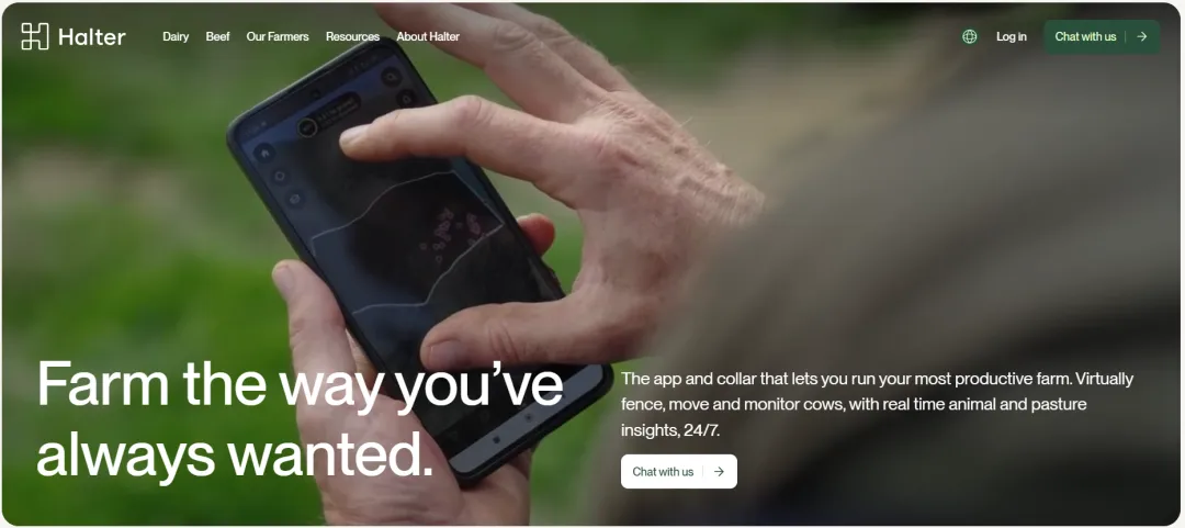 顶级聪明的钱清空被市场提前吃完的AI