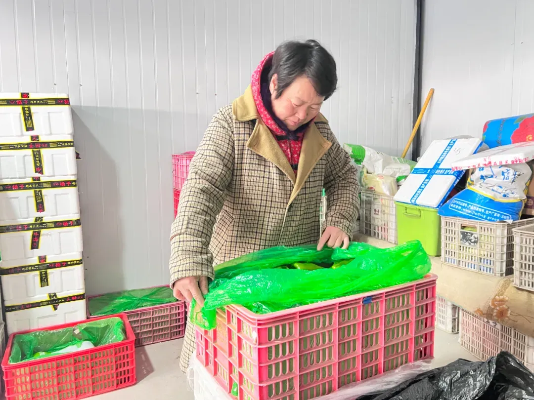 4座新建大棚投用,西城便民市场更便民!