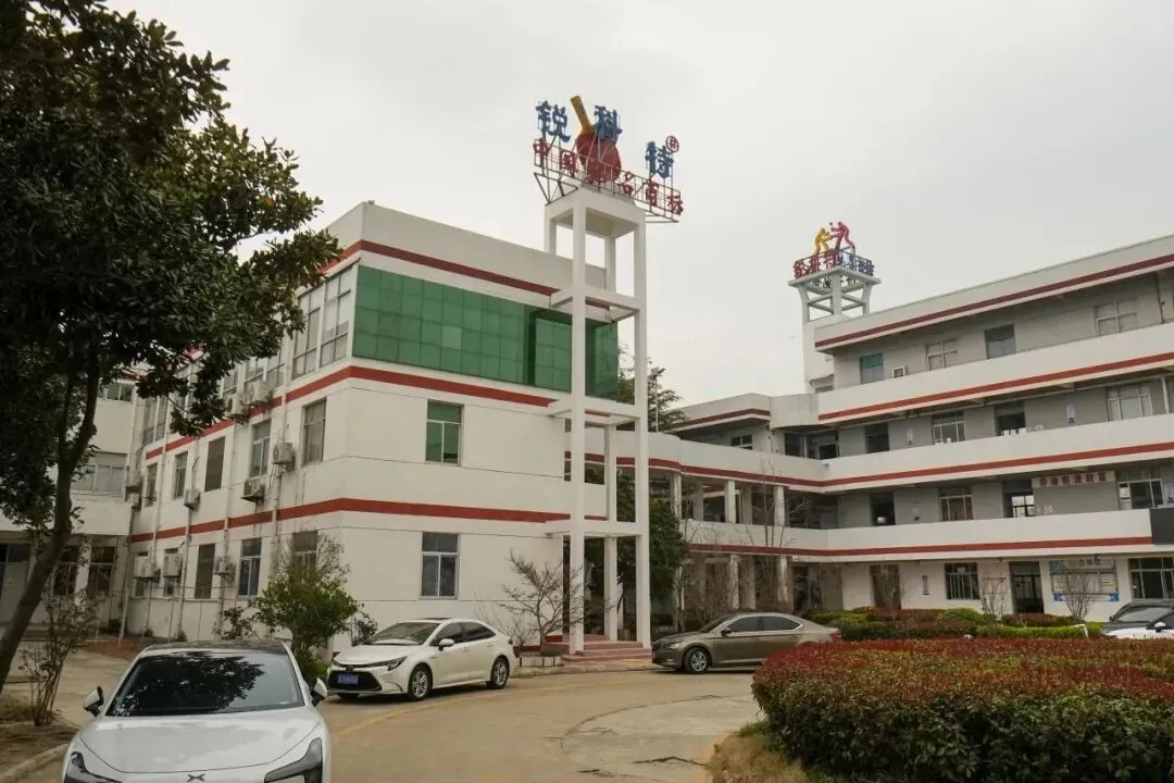 盐都出“球”,直接打入全球市场!