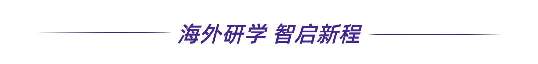 中亚市场:下一个万亿级引擎.目标500亿美元!乌兹别克斯坦正在疯狂“复刻”当年的深圳?