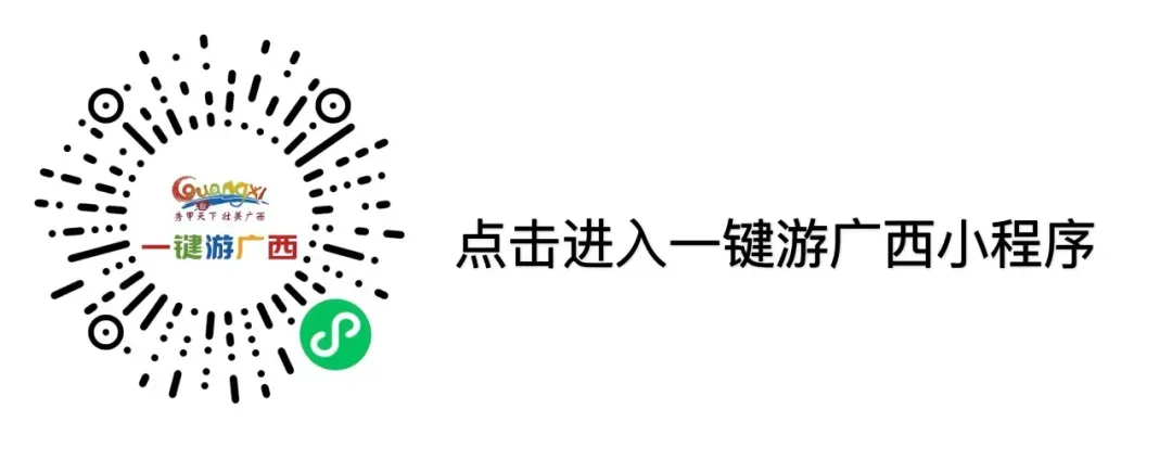 自治区市场监管局调研组到来宾开展有色金属标准化工作调研