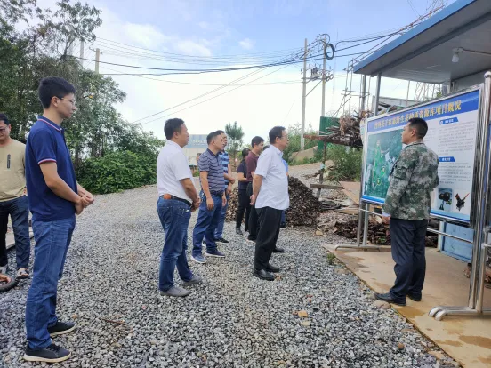 云南省市场监管局调研组到镇沅开展普洱茶产业调研