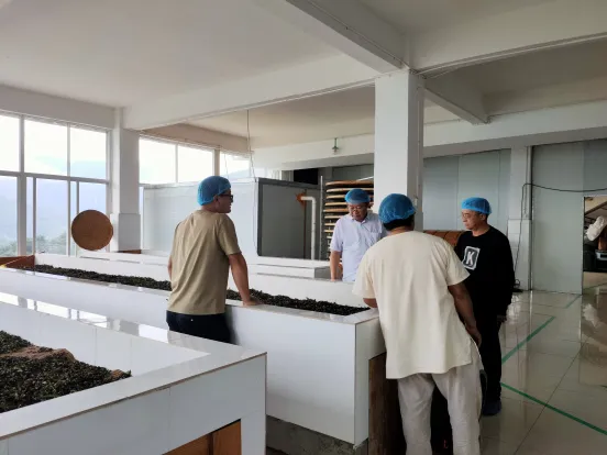 云南省市场监管局调研组到镇沅开展普洱茶产业调研
