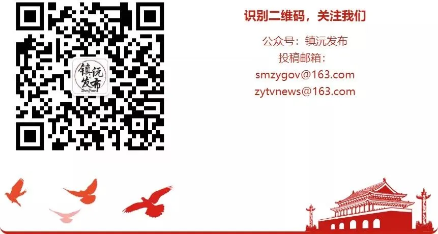 云南省市场监管局调研组到镇沅开展普洱茶产业调研