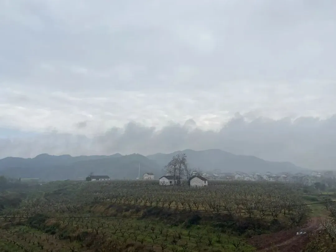 三月的环氧市场