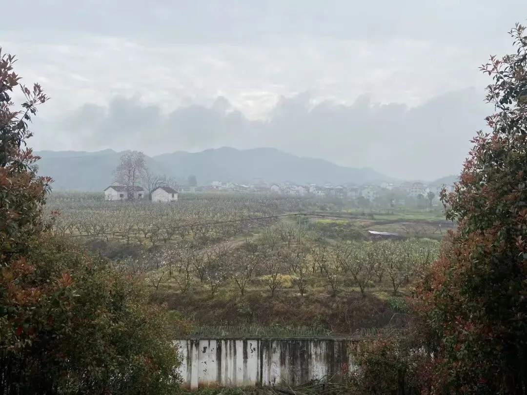 三月的环氧市场