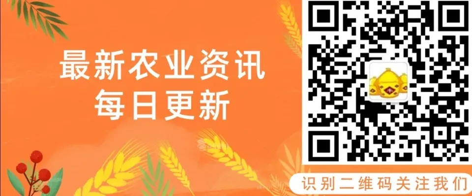 农业部检查东北种子市场!