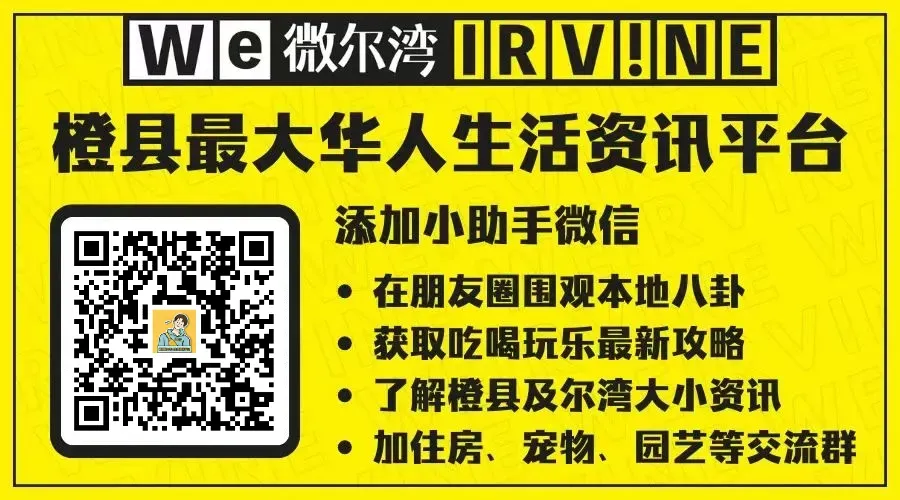 尔湾周末去哪儿?跳蚤市场大挖宝,好物多到搬不完!