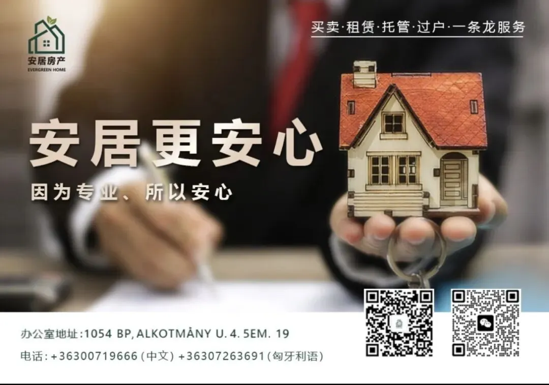 安居房产 | 出租 9区中央市场附近 精美装修 一室一厅公寓 带露台 采光极佳 储存空间充足 格局方正 宠物友好 家具齐全 可拎包入住