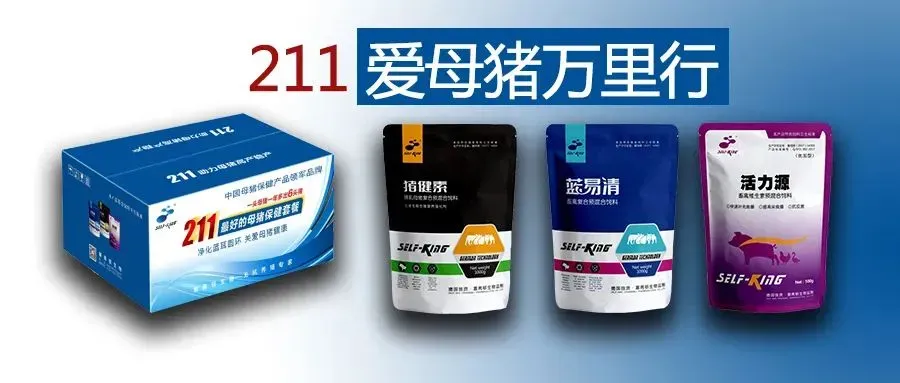 2026.04.01|| 市场僵持,小幅波动!——全国最新猪价