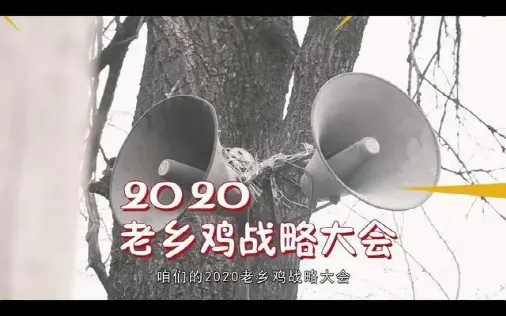 发布会营销新玩法,骑马、睡觉、讲相声……