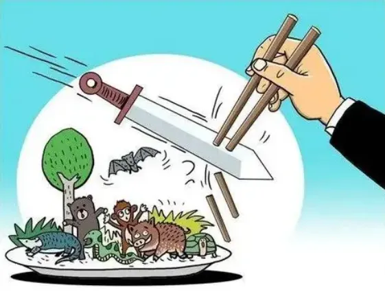 桂林市市场监督管理局关于禁止非法交易野生动物及其制品和禁用猎捕工具的提醒告诫书