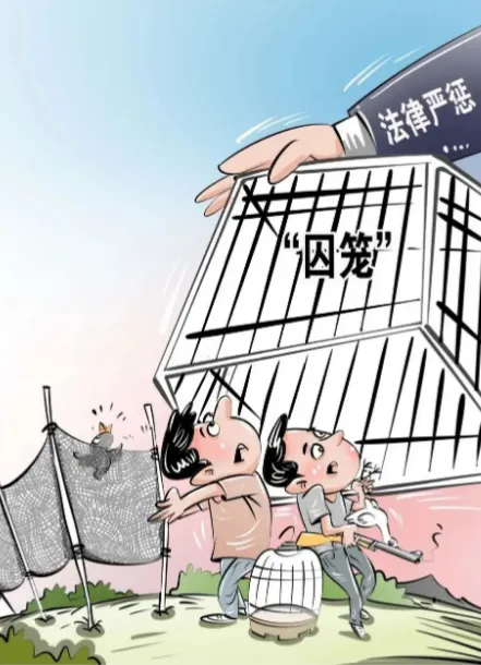 桂林市市场监督管理局关于禁止非法交易野生动物及其制品和禁用猎捕工具的提醒告诫书