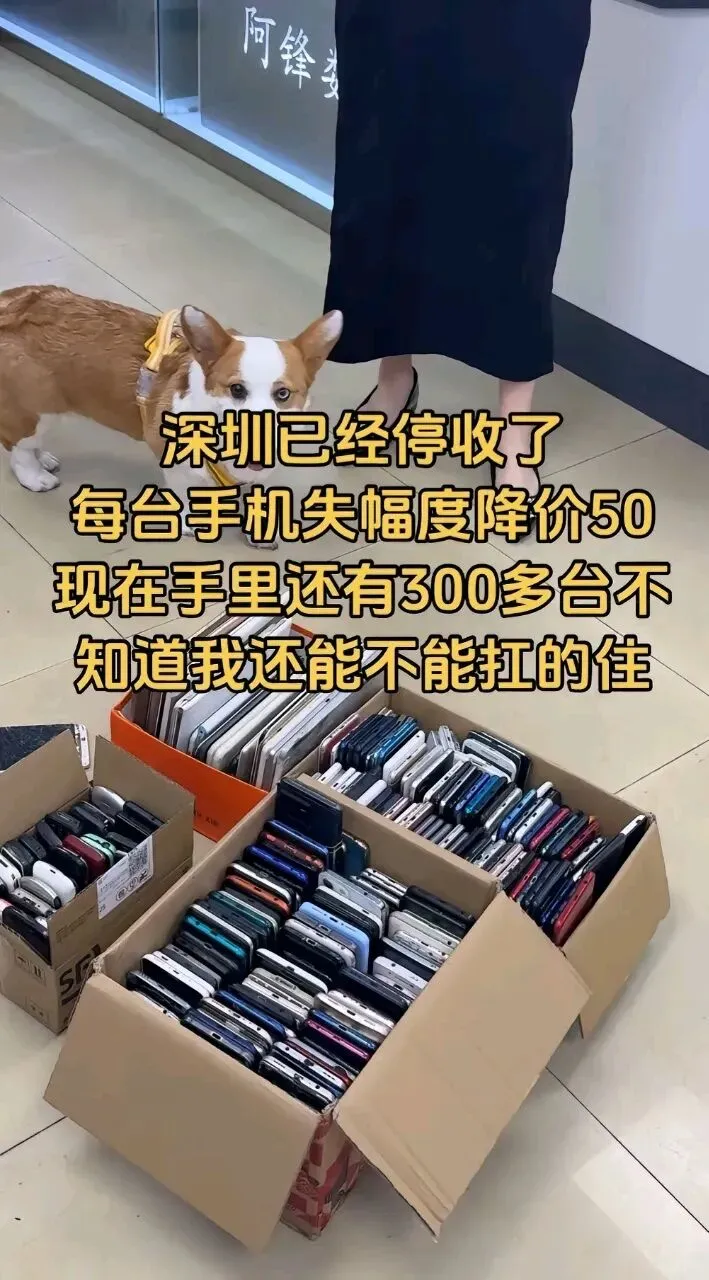 报废机市场开始崩盘了!你的旧手机,正在疯狂贬值