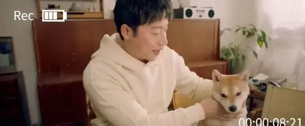 内容营销怎么玩?疯狂小狗打造暖心跨年宠物场景