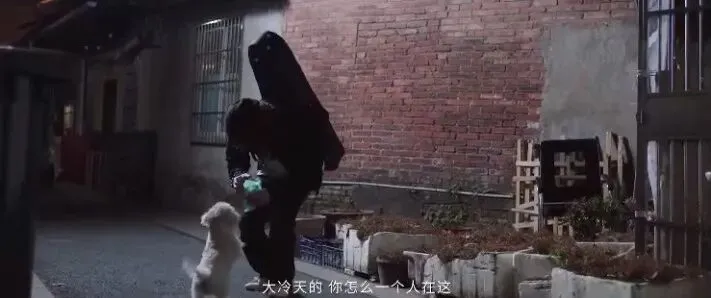 内容营销怎么玩?疯狂小狗打造暖心跨年宠物场景