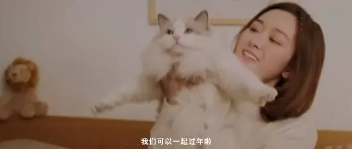 内容营销怎么玩?疯狂小狗打造暖心跨年宠物场景