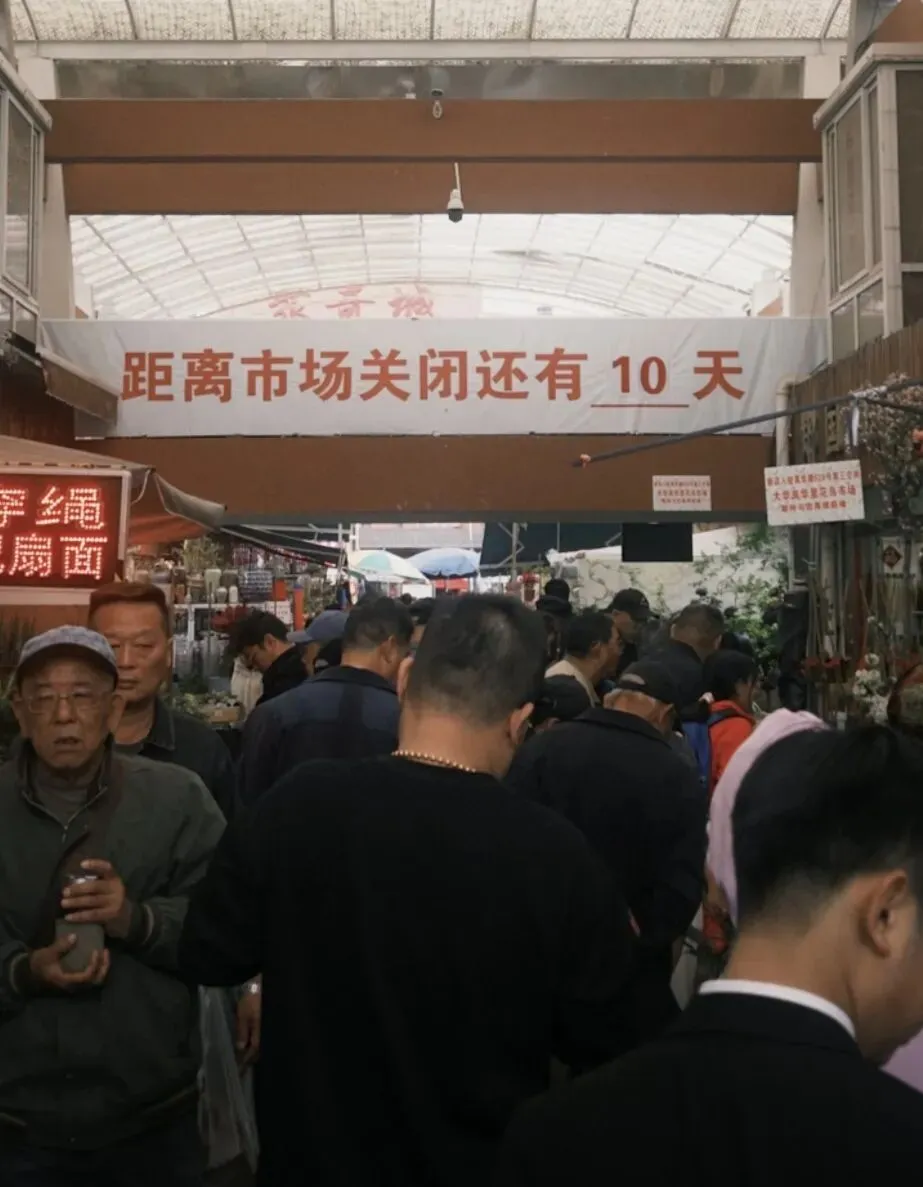 上海市中心规模最大花鸟市场即将关闭!天天有人赶来“捡漏”!2/3的商户明确新去向,已启动搬迁→