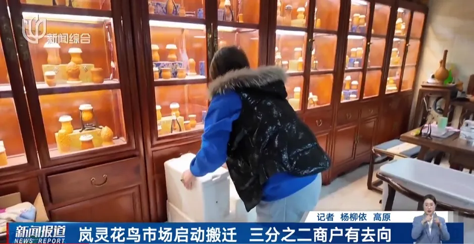 上海市中心规模最大花鸟市场即将关闭!天天有人赶来“捡漏”!2/3的商户明确新去向,已启动搬迁→