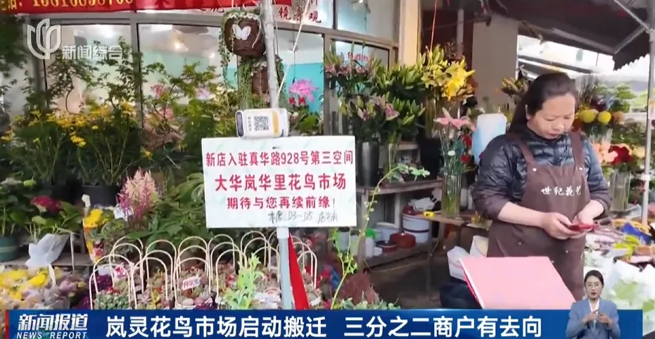 上海市中心规模最大花鸟市场即将关闭!天天有人赶来“捡漏”!2/3的商户明确新去向,已启动搬迁→