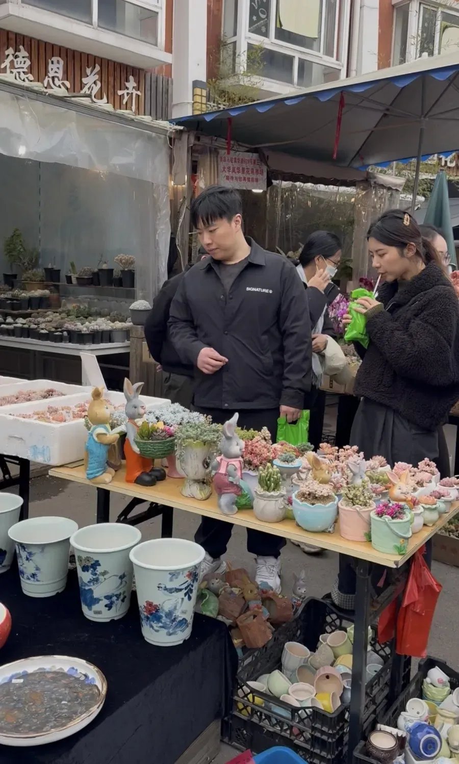 上海市中心规模最大花鸟市场即将关闭!天天有人赶来“捡漏”!2/3的商户明确新去向,已启动搬迁→