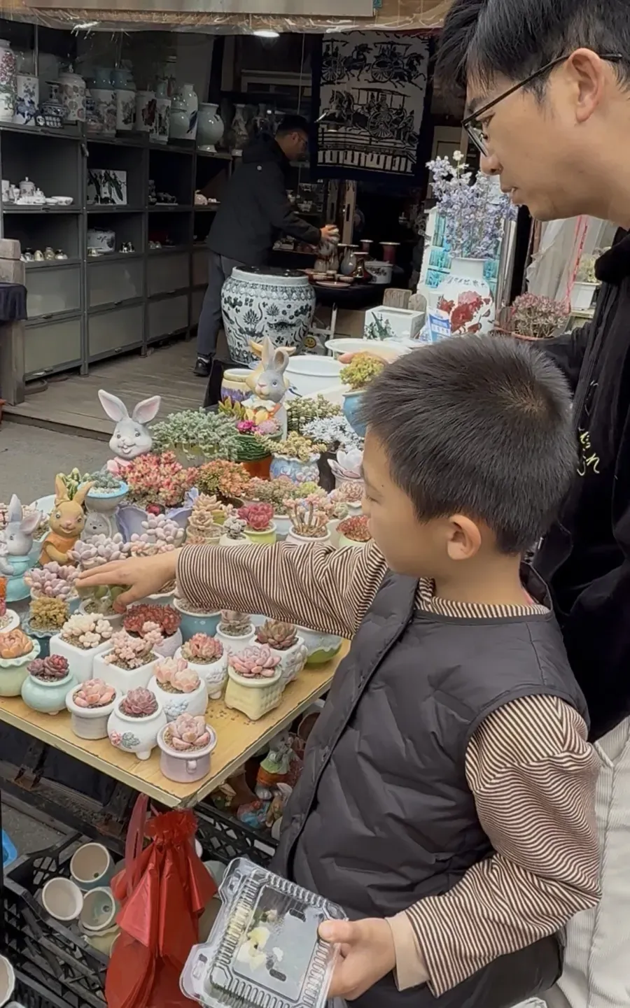 上海市中心规模最大花鸟市场即将关闭!天天有人赶来“捡漏”!2/3的商户明确新去向,已启动搬迁→