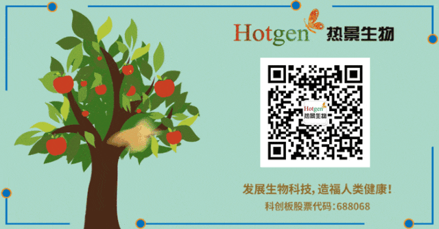 深耕全球市场,开拓北非新局——热景生物亮相摩洛哥医疗展