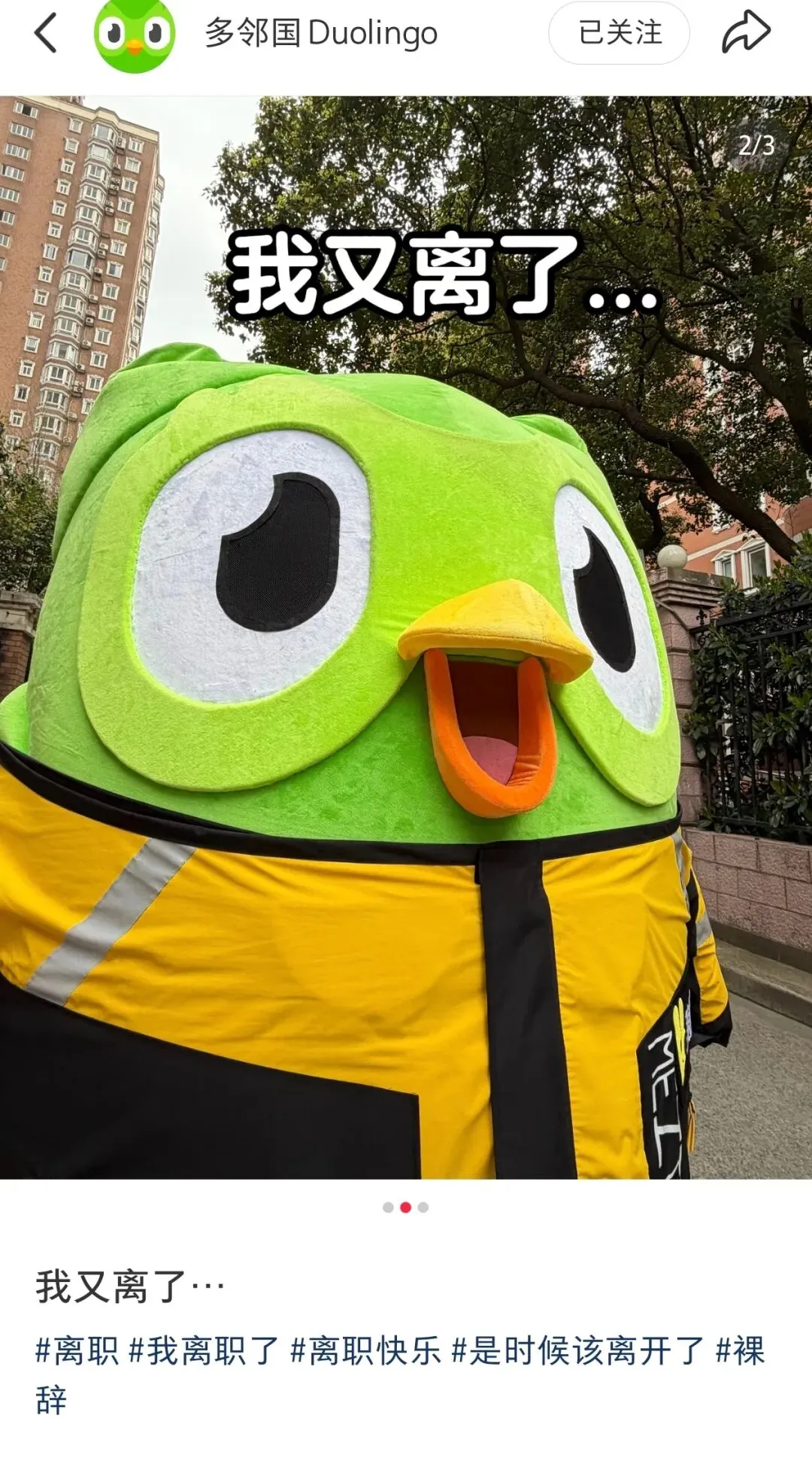 广告人必看 | 3 月营销案例