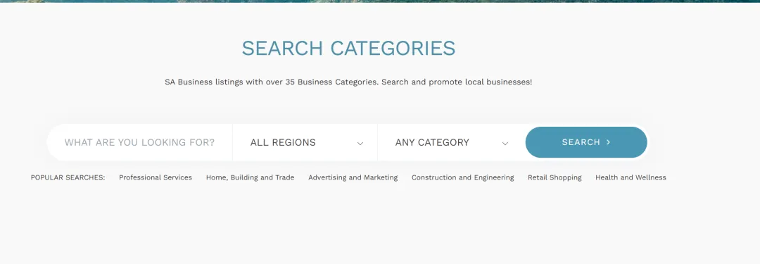 11个开发【南非】市场的网站,外贸人学习