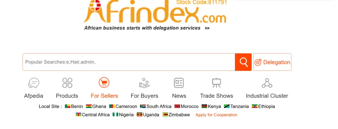 11个开发【南非】市场的网站,外贸人学习