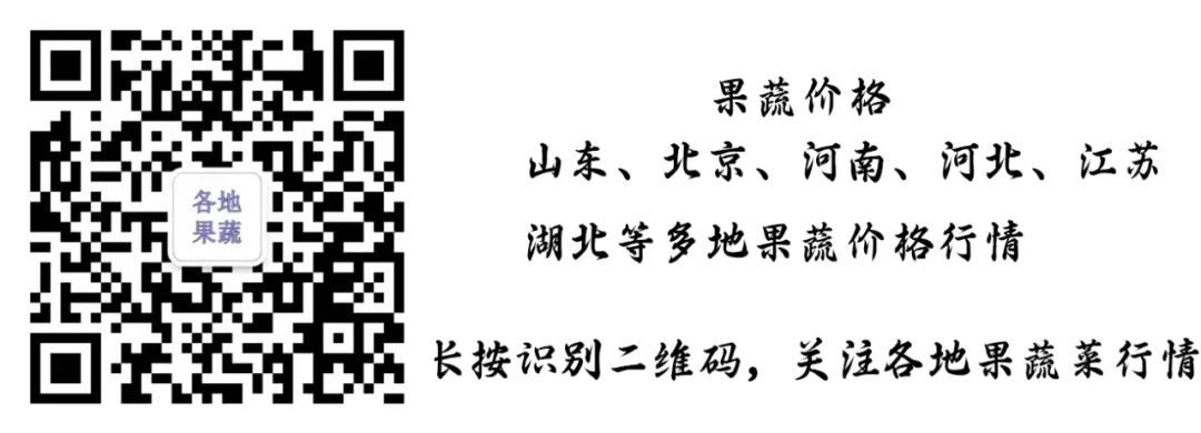 北京新发地市场2026年4月1日蔬菜水果价格
