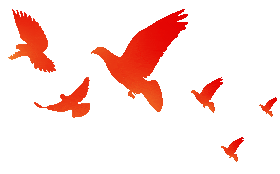 “缅怀革命先烈,赓续红色血脉,护航市场民生”——庐山市市场监督管理局开展祭扫烈士纪念碑主题党日活动