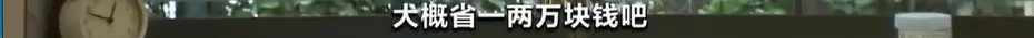 太火爆!这个市场突然爆发,月薪两万还招不到人…