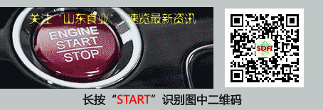 山东省市场监督管理局 山东省大数据局 山东省畜牧兽医局关于印发《山东省食用畜禽产品质量安全信息化追溯管理规定》的通知