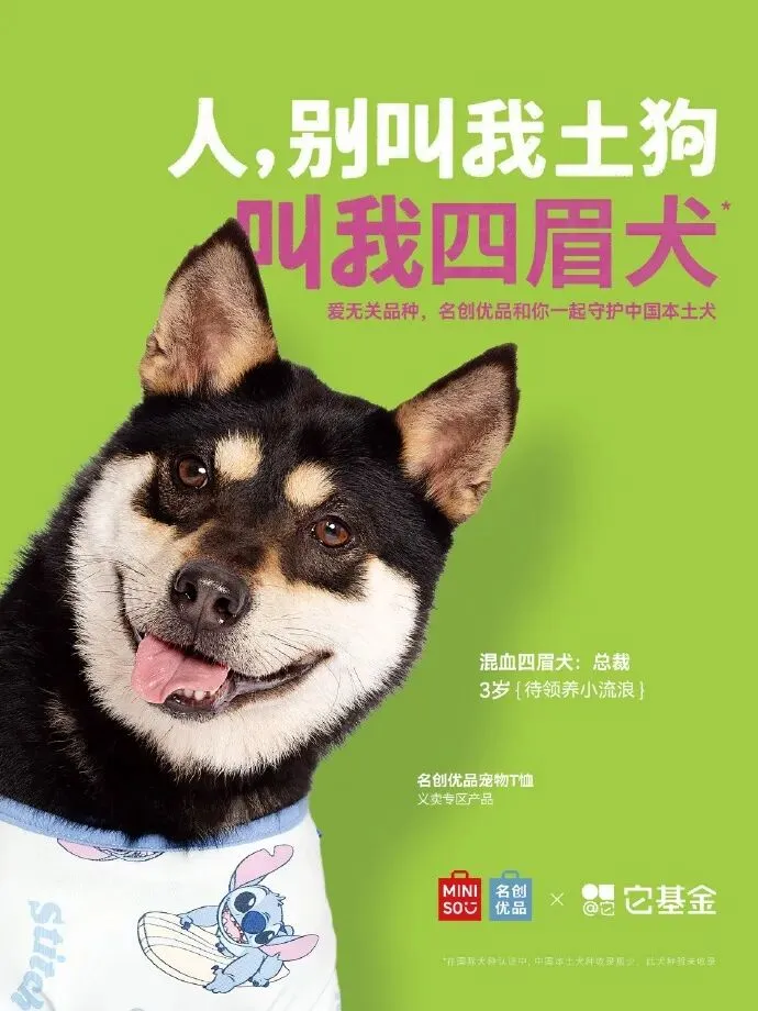 2026年节日营销的7个情绪密码,营销人必看!